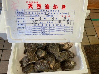 image0_2.jpeg