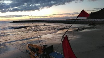 IMG_4185.JPG