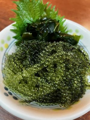 image0_7.jpeg