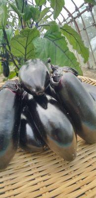 image2_2.jpeg