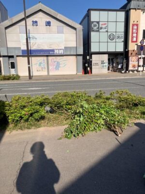 image1_3.jpeg