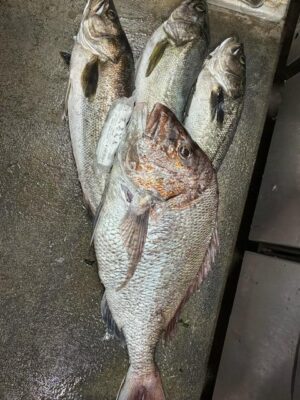 image0_4.jpeg
