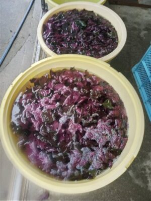 image3_2.jpeg