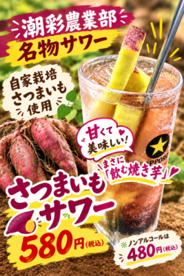 image3.png
